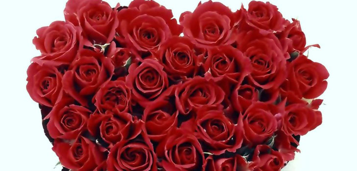 Hoe een meisje te feliciteren op Valentijnsdag: de beste manieren