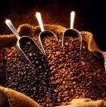 Hoe koffie koken?