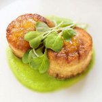 Hoe coquilles te koken Hoe coquilles te koken
