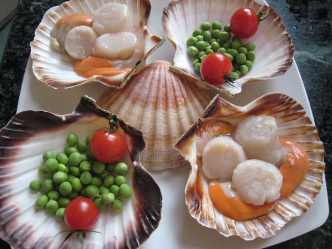 Hoe coquilles te koken Hoe coquilles te koken