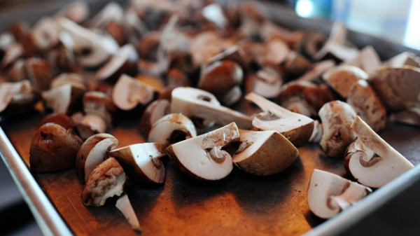 Hoe champignons te drogen