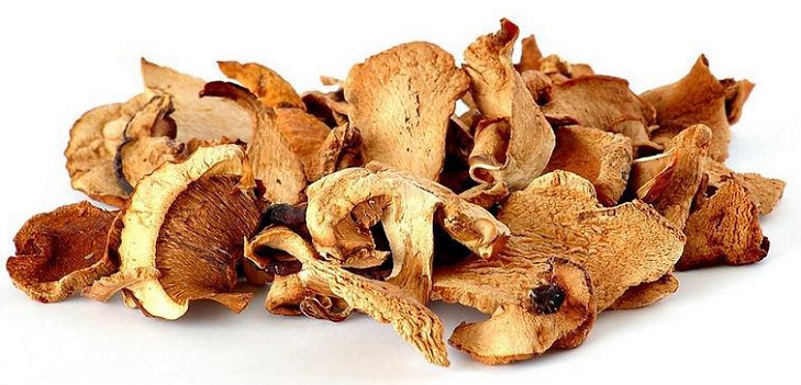 Hoe champignons te drogen