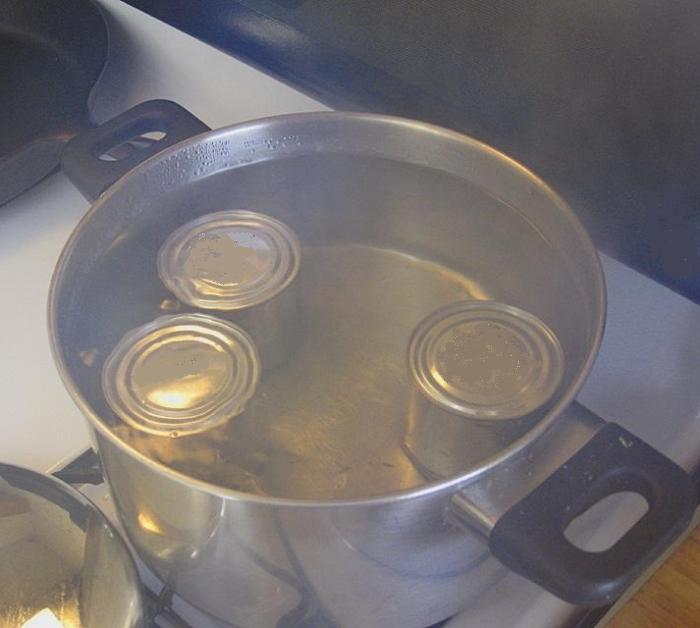 Hoe gecondenseerde melk in een blik te koken?
