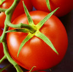 Behoud van tomaten