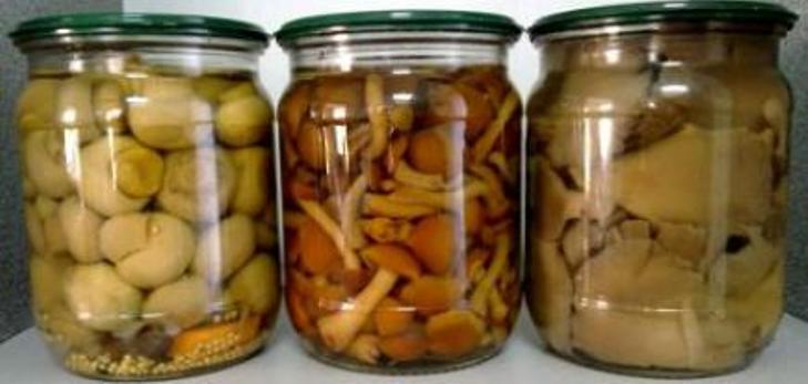 Ingeblikte champignons voor de winter