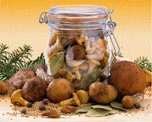 Ingeblikte champignons voor de winter