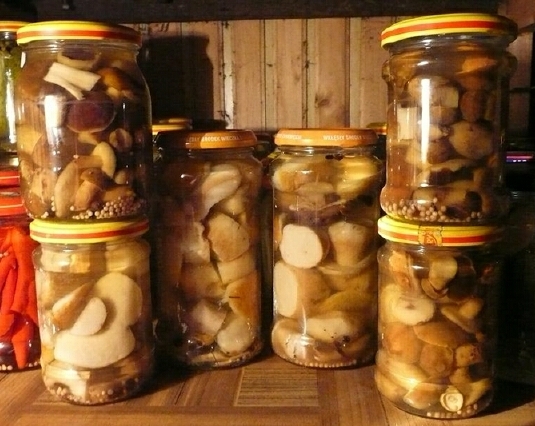 Ingeblikte champignons voor de winter