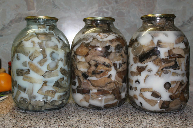Ingeblikte champignons voor de winter