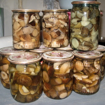 Ingeblikte champignons voor de winter