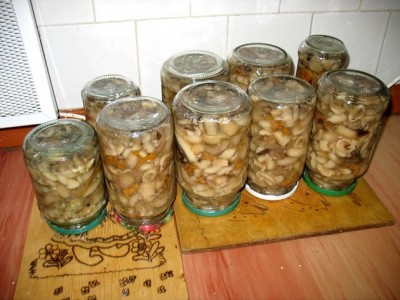 Ingeblikte champignons voor de winter