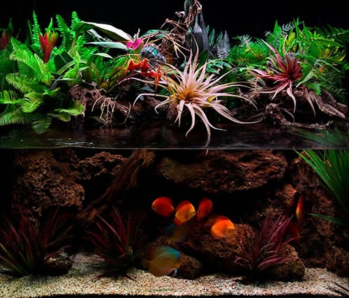 Een aquarium met je eigen handen maken
