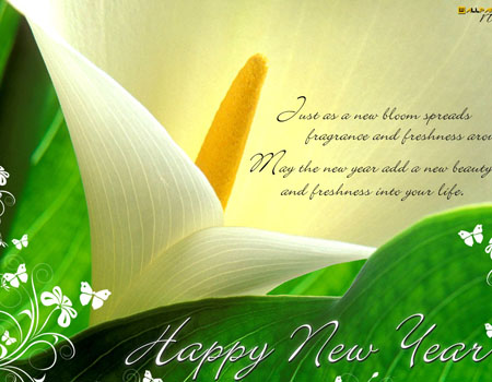 Originele felicitaties voor het nieuwe jaar 2015, beste felicitaties