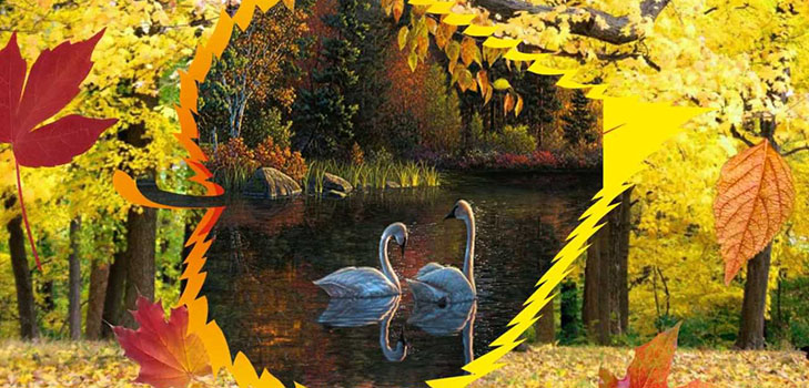 Scenario Autumn Ball in de school voor middelbare scholieren en cijfers 5-7. Stengazeta en dans op het herfstbal