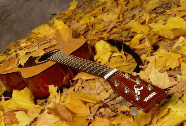 Liederen en gedichten voor de herfstbal voor schoolkinderen - de beste, modern, mooi en kort