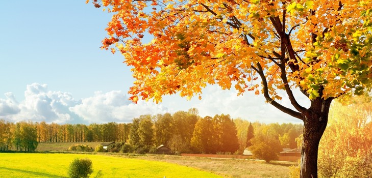 Liedjes over herfst voor basisschool, kleuterschool en adolescenten