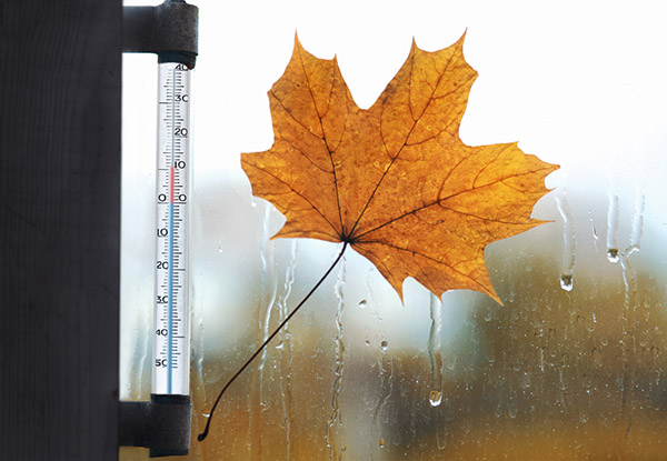 Hoe zal het weer zijn in Moskou en de regio Moskou in oktober 2017?