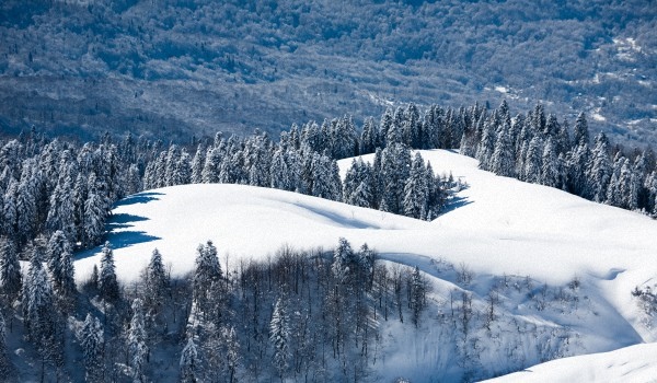 Weer in Sochi in februari 2017