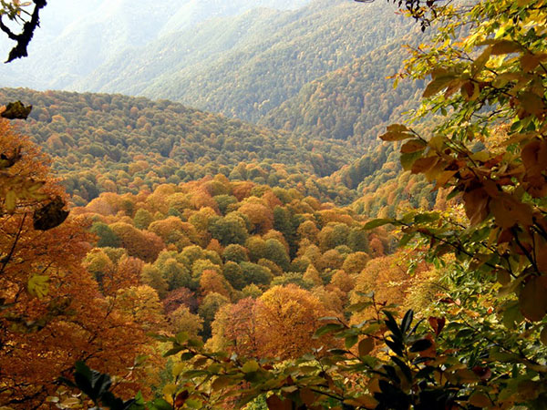 Weer in Sochi in oktober 2017