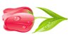 Gefeliciteerd 8 maart in vers
