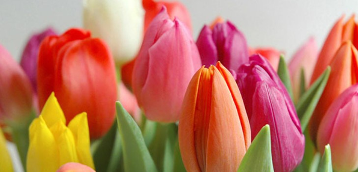 Mooie en originele felicitaties op 8 maart in verzen en proza