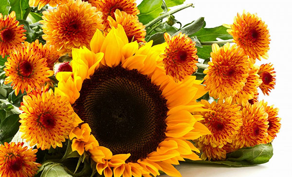 Gefeliciteerd met Teacher's Day 2017 in proza, poëzie en foto's