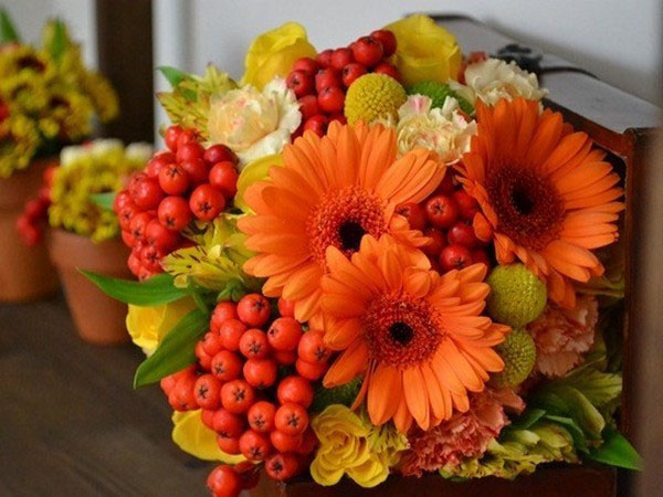 Gefeliciteerd met Teacher's Day 2017 in proza, poëzie en foto's