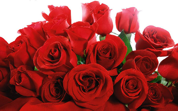 Gefeliciteerd met de Day of All Lovers in 2017 in couplet en proza
