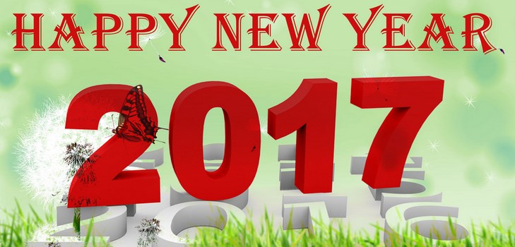 Gefeliciteerd Happy New Year 2017 Cock