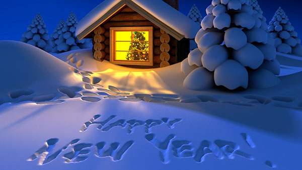 Gefeliciteerd Happy New Year 2017 Cock