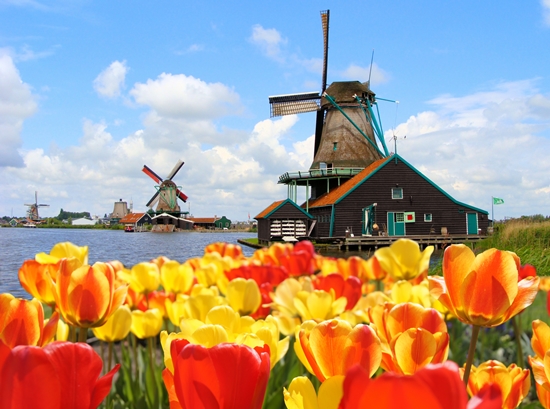 Met de wereld in een rode draad: wat te brengen vanuit Nederland