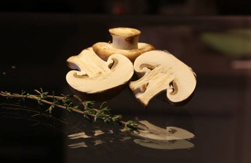 Eetbare paddestoelen: classificatie en voorzorgsmaatregelen