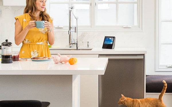 Slimme huisakoestiek: Amazon Echo Show-systeem