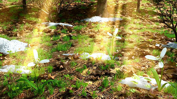 Samenstelling op het thema van de lente
