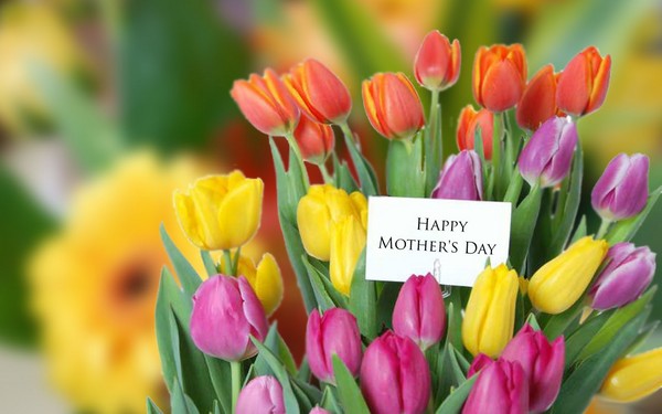Gedichten voor mama: mooi, ontroerend, kort, lang, van dochter en zoon