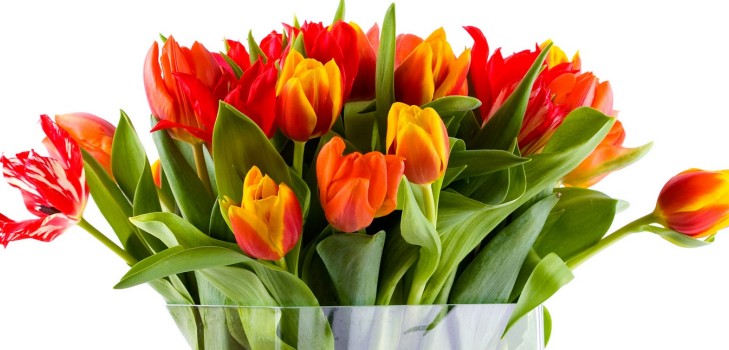 De meest ontroerende en mooie gedichten op 8 maart, geliefde vrouwen