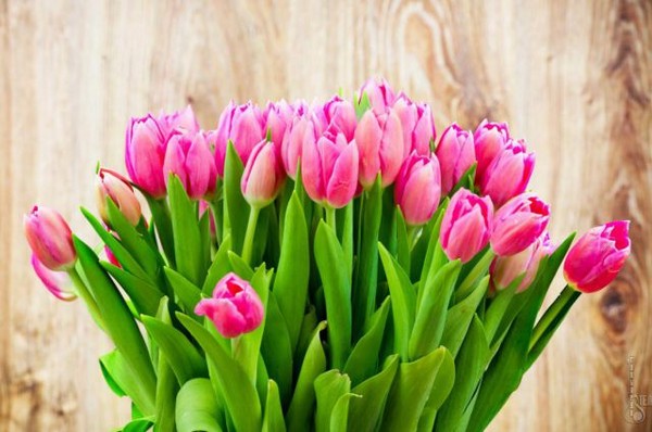 De meest ontroerende en mooie gedichten op 8 maart, geliefde vrouwen