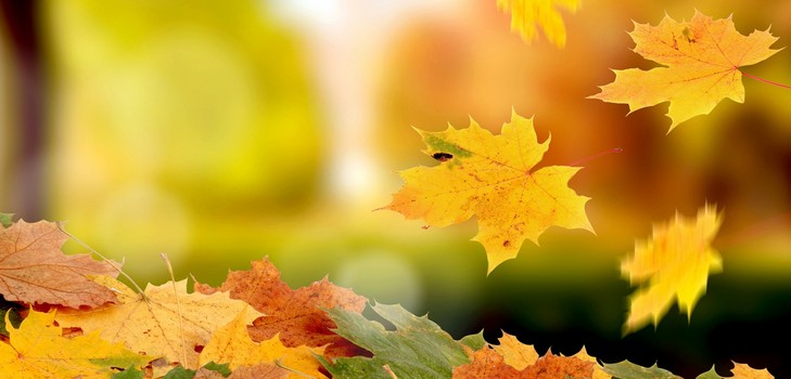 Korte en mooie gedichten over de herfst voor kinderen in de kleuterklas en op school