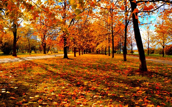 Korte en mooie gedichten over de herfst voor kinderen in de kleuterklas en op school