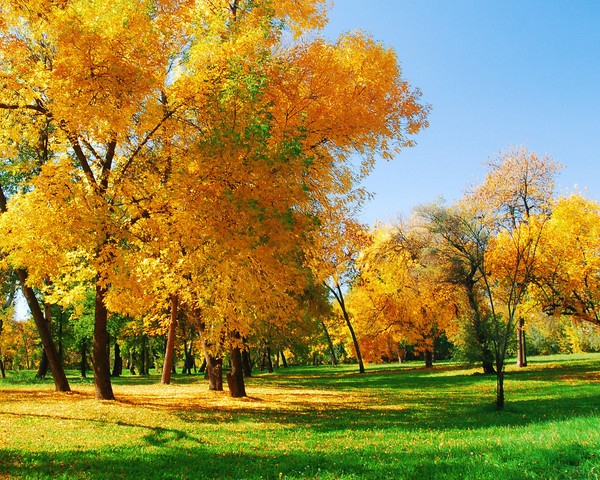 Korte en mooie gedichten over de herfst voor kinderen in de kleuterklas en op school