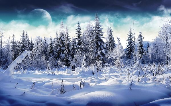 Gedichten over de winter voor kinderen: opties voor de kleuterschool en op school. Mooie korte verzen van Russische klassiekers dichters over de winter