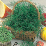 Groen oogsten voor de winter