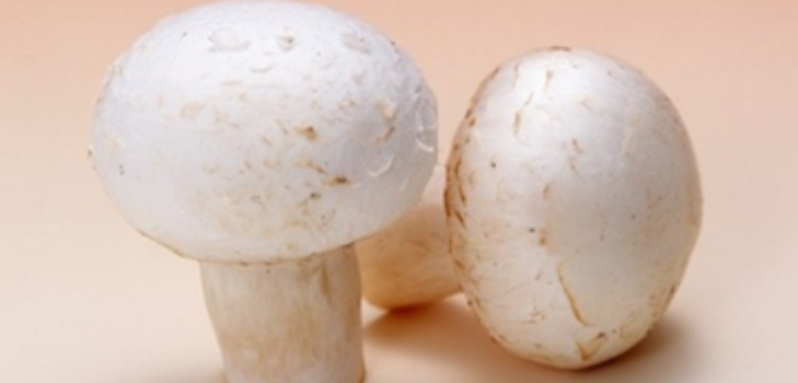 champignons