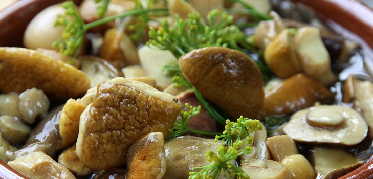 Witte champignons: recepten voor het bereiden van heerlijke gerechten