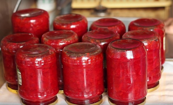 Borsch voor de winter in blik, recepten voor bereidingen met bieten en kool, tomatenpuree en zonder