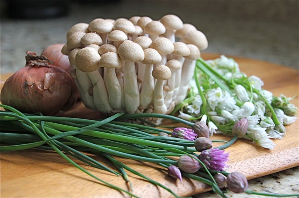 Wat om van honing te koken?