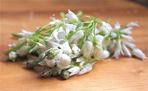 Wat om van honing te koken?