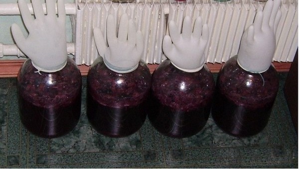 Zelfgemaakte kersenwijn, een eenvoudig recept met wodka, zonder gist. Hoe je kersenwijn thuis kunt maken met een handschoen