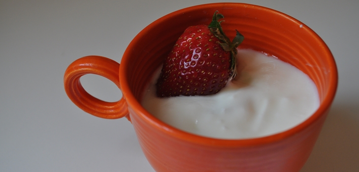 zelfgemaakte yoghurtrecepten