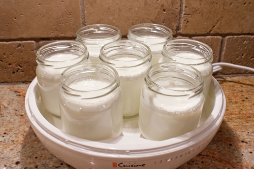 zelfgemaakte yoghurt in yoghurt
