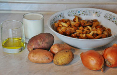 Noodzakelijke ingrediënten